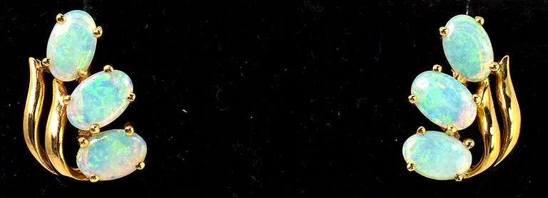 Enchanting Opal Earrings in 18KT Yellow Gold