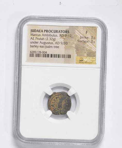 F AD 9-12 Judaea Procuators Marcus Ambibulus AE Prutah (2.32g) - NGC