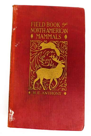 1928 Field Book of N. American Mammals