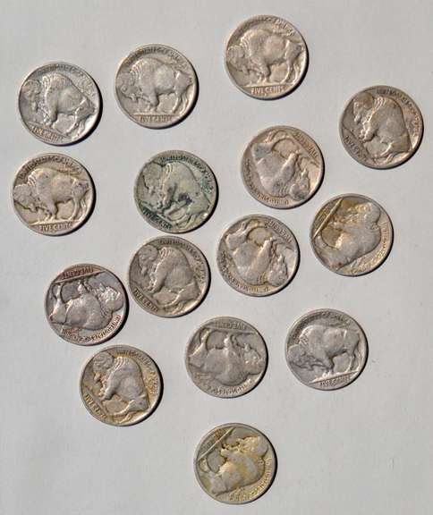 Full Date Half Horn Buffalo Nickel Lot