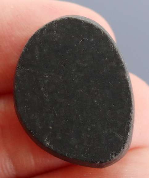 Highly figurative 33.95ct rainbow flashing Australian Abalone