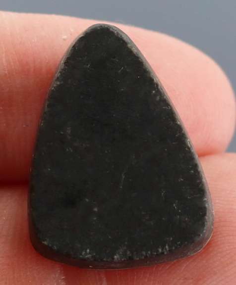 Gorgeous 25.08ct rainbow flashing Australian Abalone