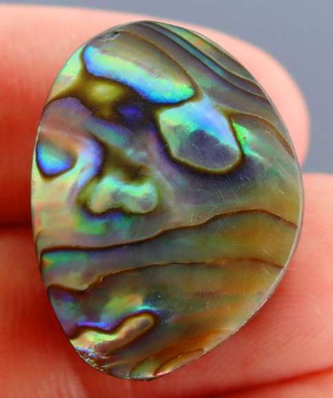 Highly figurative 33.95ct rainbow flashing Australian Abalone