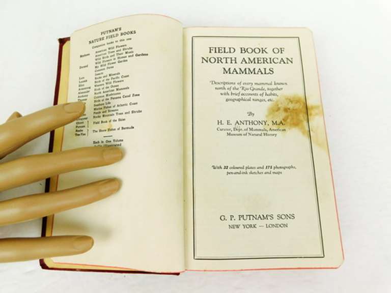 1928 Field Book of N. American Mammals