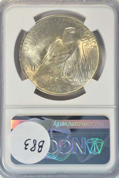 Virtual Gem BU 1923 Peace Silver Dollar. NGC MS64