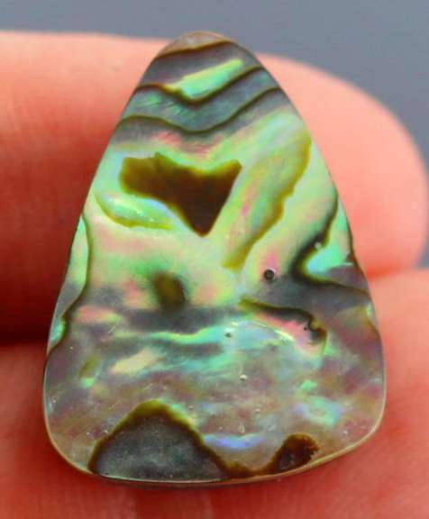 Gorgeous 25.08ct rainbow flashing Australian Abalone