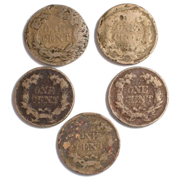 5 5 Flying Eagle Cents