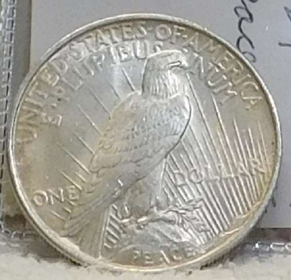 1924 Peace Dol  near Uncirculated