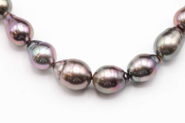 Graceful Natural Color Tahitian Pearls - 8.5-11.3mm