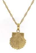 CaptivatingShell Pendant on Twisted Chain