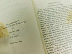 1928 Field Book of N. American Mammals