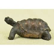 Tortoise Bronze Statue