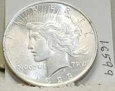1923 Peace Dollar, near Unc