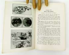 Rare 1915 The China Painter's A-B-C