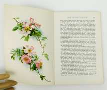 Rare 1915 The China Painter's A-B-C