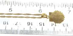 CaptivatingShell Pendant on Twisted Chain