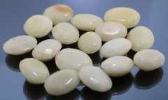 Substantial 626 carats of untreated ivory white Onyx