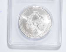 2001 American Silver Eagle - .999 Fine Silver