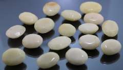 Substantial 626 carats of untreated ivory white Onyx