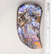 Beautiful Boulder Opal Feather