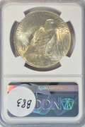 Virtual Gem BU 1923 Peace Silver Dollar. NGC MS64