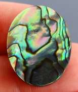 Highly figurative 31.39ct rainbow flashing Australian Abalone