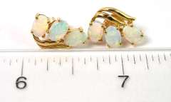 Enchanting Opal Earrings in 18KT Yellow Gold