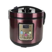 90W Garlic Automatic Fermentation Machine