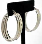 Eye-Catching Elongated Hoop Earrings in Sterling Silver