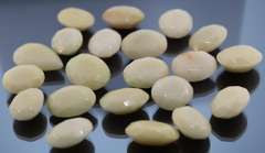 Substantial 801 carats of untreated ivory white Onyx