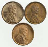 Lot (3) 1909 VDB Lincoln Wheat Cents