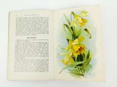Rare 1915 The China Painter's A-B-C