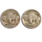 1913 Type 1 & 1915 Buffalo Nickels