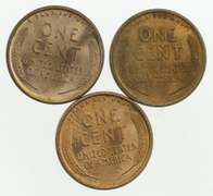 Lot (3) 1909 VDB Lincoln Wheat Cents