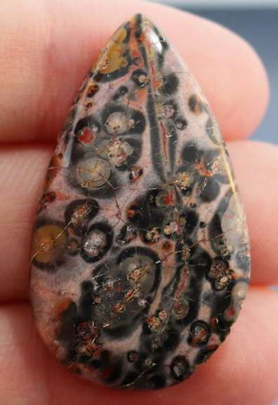 Stunning 30.44ct Brazilian Leopard Skin Jasper