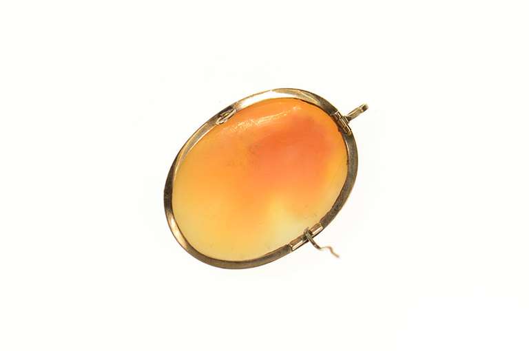 14K Yellow Gold Carved Victorian Lady Shell Cameo Pendant/Pin