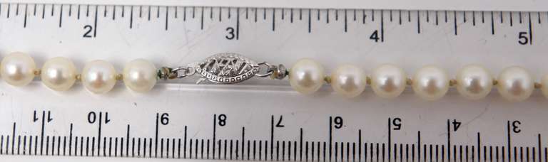 Favorite Fresh Water Pearl Necklace