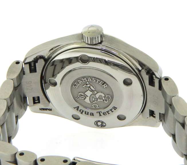 Omega Seamaster Aquaterra Watch