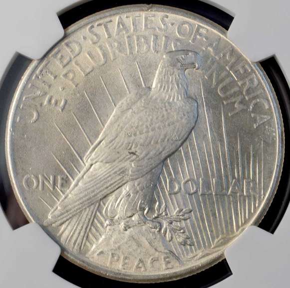 1925 Peace Silver Dollar NGC MS64