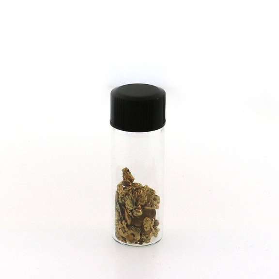 Pure Gold Nuggets in Vial