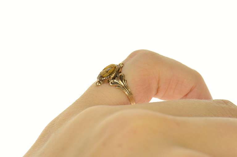 14K Yellow Gold Victorian Carved Tiger's Eye Cameo Ring