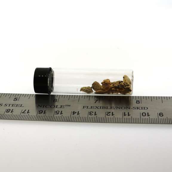 Pure Gold Nuggets in Vial