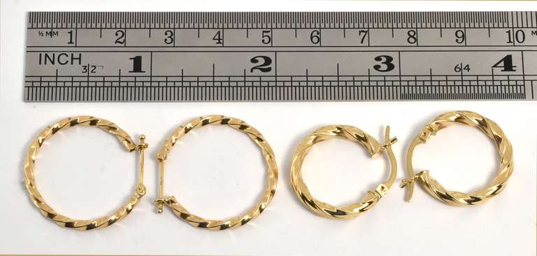 2 Pairs of Twisted Hoop Earrings