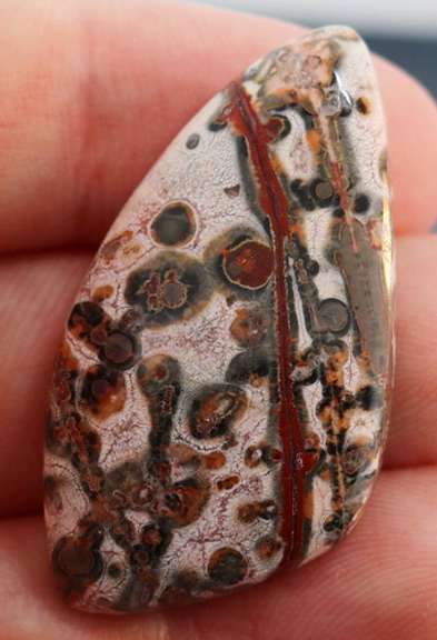 Stunning 31.33ct Brazilian Leopard Skin Jasper