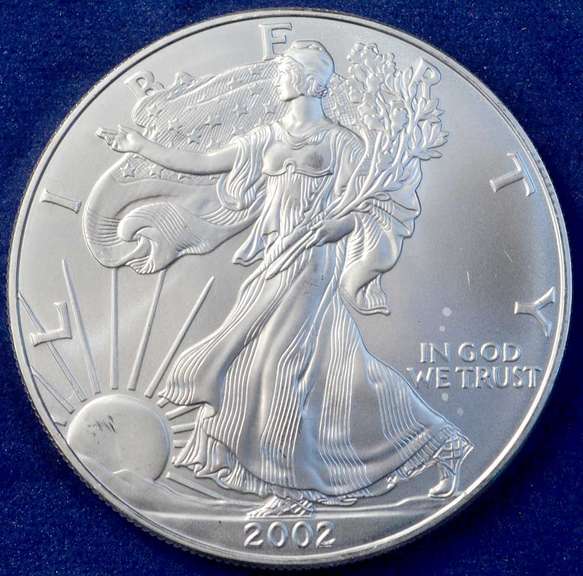2002 BU Silver Eagle