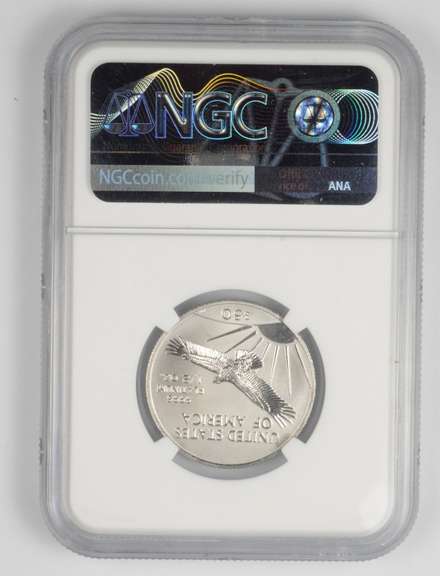 MS69 2000 $50 American Platinum Eagle 1/2 Oz - Graded NGC