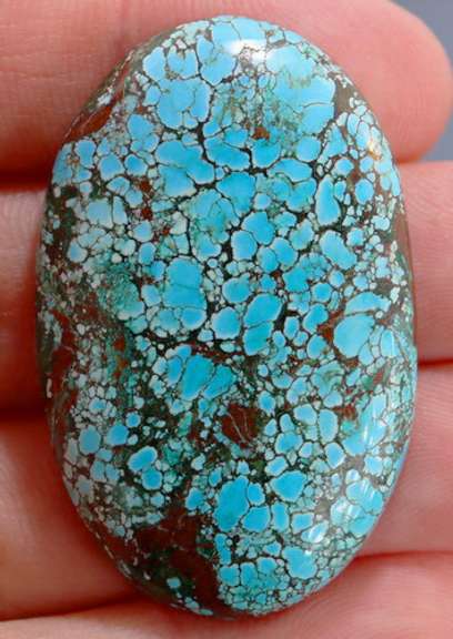 Huge! 70.50ct well marbled robbins egg blue Turquoise