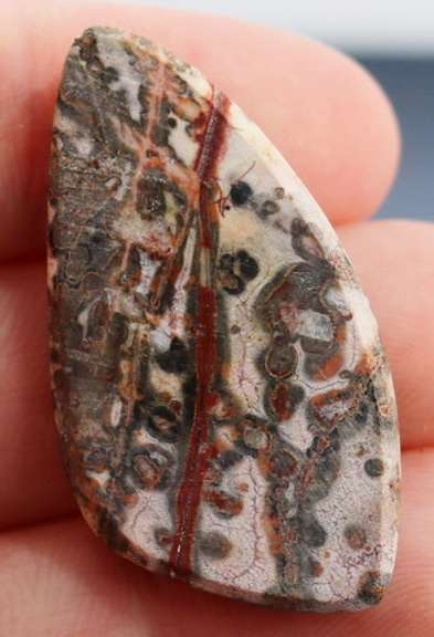Stunning 31.33ct Brazilian Leopard Skin Jasper
