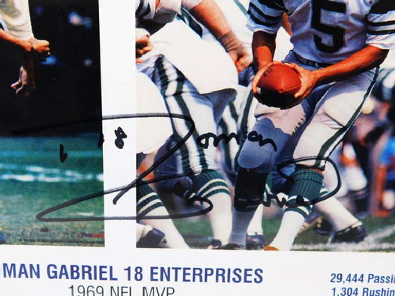 Roman Gabriel Autographed Color Print & Stat Sheet