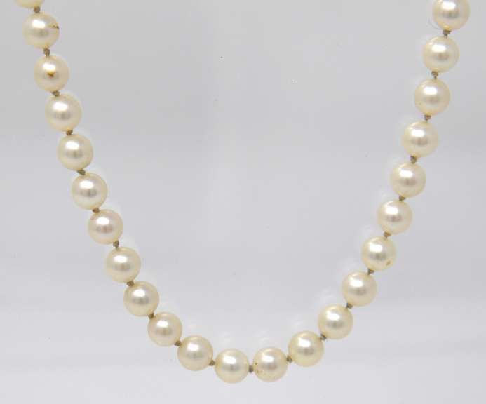 Favorite Fresh Water Pearl Necklace